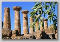 temple d'Hercule - Agrigente