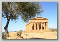 temple de la Concorde - Agrigente