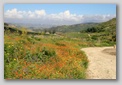 segesta