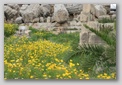 s&eacute;linonte - ruines