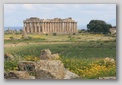 selinunte