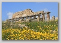 s&eacute;linonte - temple acropole