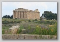 selinunte - tempio E