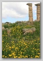 s&eacute;linonte - acropole