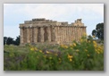 selinunte