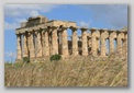 selinunte - tempio
