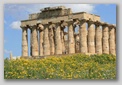 selinunte - tempio E