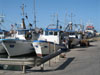 port de pêche de trapani
