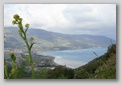 cap tindari
