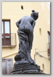 Raguse vénus noire