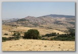Gangi