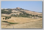 Raguse naro