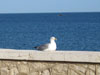 port de pêche de trapani