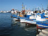 port de pêche de trapani