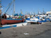 port de pêche de trapani