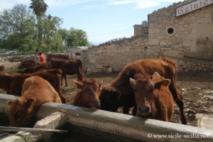 Château de Donnafugata en Sicile