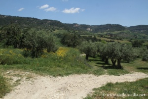 Borgo de Castelluccio