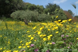 Castelluccio, Sicile