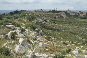 Murs Dionysiens et château Euryale, Syracuse