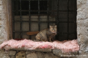 Centre historique de Trapani