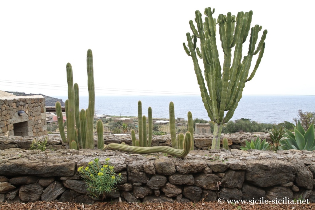 Lac Specchio di Venere, Sicile