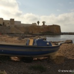 Trapani