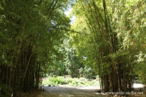 Jardin botanique de Palerme