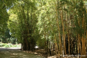 Jardin botanique de Palerme