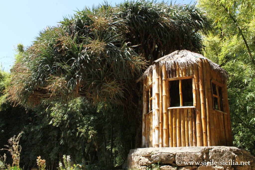 Jardin botanique de Palerme