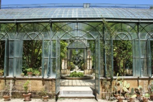 Jardin botanique de Palerme
