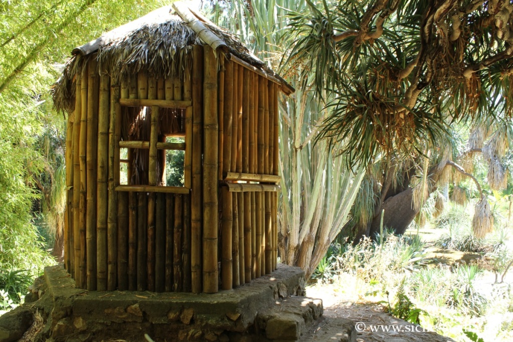 Jardin botanique de Palerme