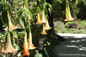 Jardin botanique de Palerme