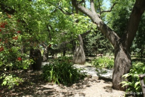 Jardin botanique de Palerme