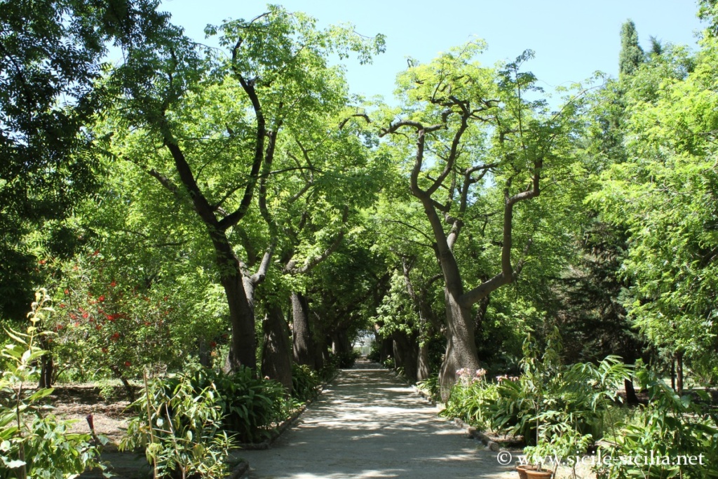 Jardin botanique de Palerme