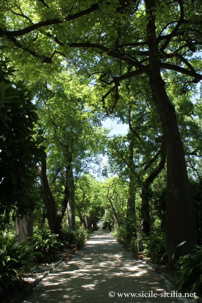 Jardin botanique de Palerme