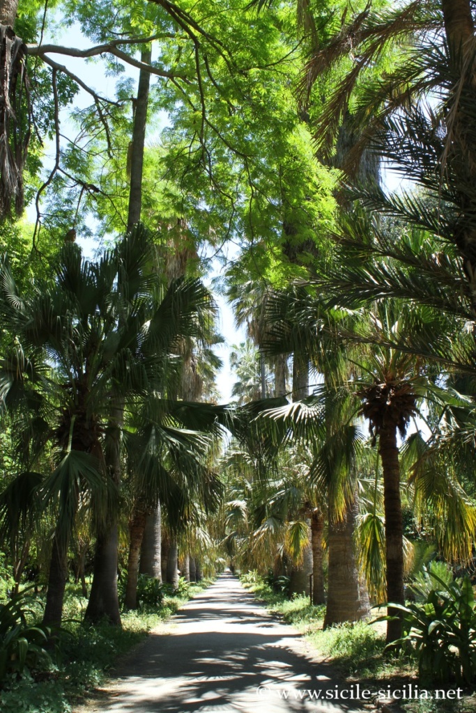 Jardin botanique de Palerme