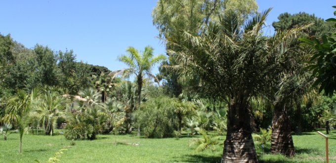 Jardin botanique de Palerme