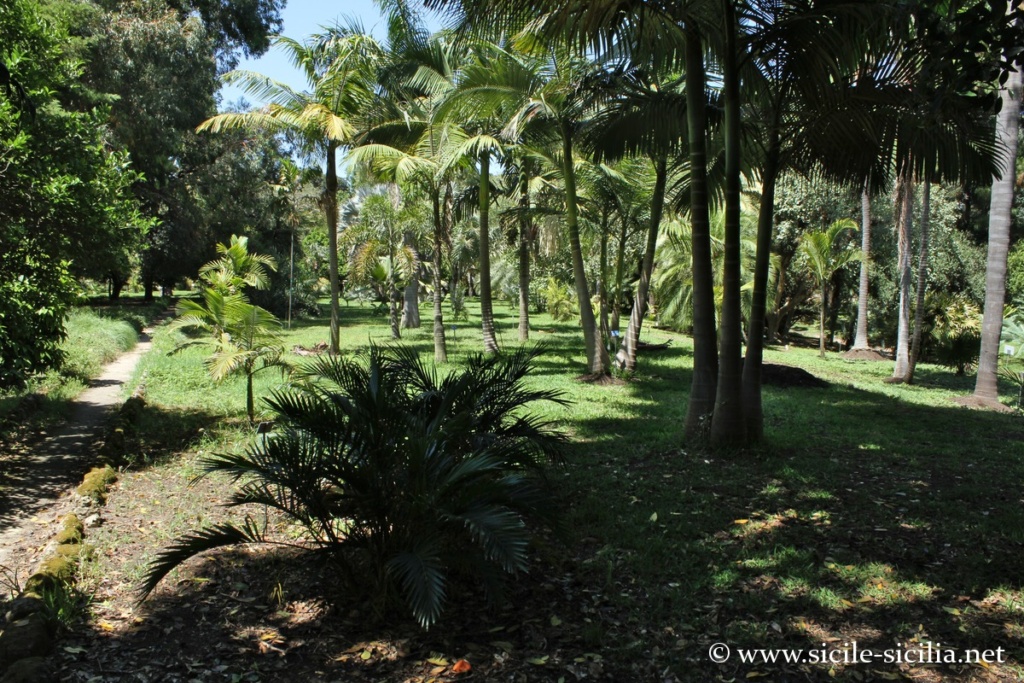 Jardin botanique de Palerme
