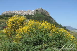 Panorama sur Giuliana