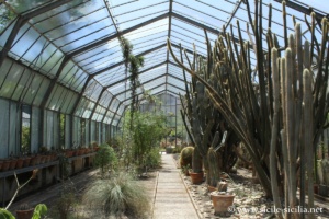Jardin botanique de Palerme