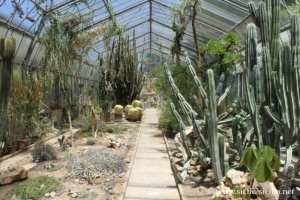 Jardin botanique de Palerme