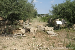 Site archéologique de Megara Hyblae, Sicile