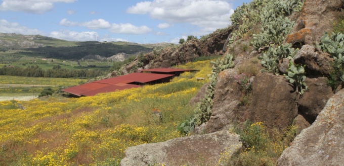 Site de Palikè