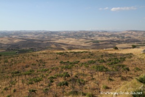 Campagnes autour de Campobello di Licata, Sicile