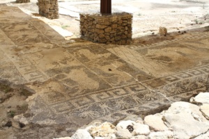 Maison des mosaïques, Motyé