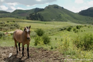 Château de Calatamauro, Sicile