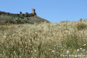 Château normand de Cefalà Diana en Sicile