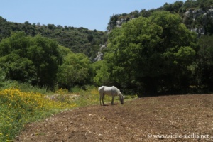 La Cava d'Ispica, Sicile