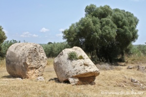 Carrières de Cusa, Sélinonte