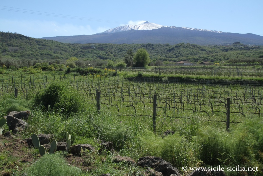 Église de la Cuba de Saint-Dominique, Castiglione di Sicilia